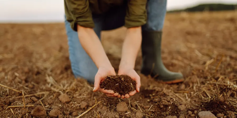 Illustrative image of Organic soil management in Launceston